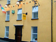 Darcy's Guesthouse -  View Details