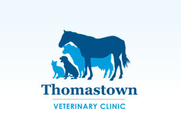 Thomastown Veterinary Clinic Kilkenny