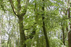 Visit Kilkenny Photo Gallery