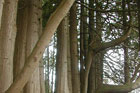 Visit Kilkenny Photo Gallery