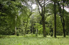 Visit Kilkenny Photo Gallery