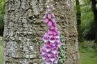 Visit Kilkenny Photo Gallery