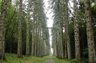 Visit Kilkenny Photo Gallery