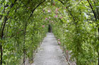 Visit Kilkenny Photo Gallery