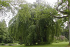 Visit Kilkenny Photo Gallery