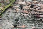 Visit Kilkenny Photo Gallery