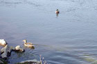 Visit Kilkenny Photo Gallery