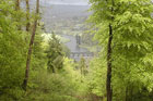 Visit Kilkenny Photo Gallery