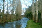 Visit Kilkenny Photo Gallery