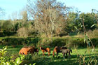 Visit Kilkenny Photo Gallery