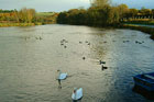 Visit Kilkenny Photo Gallery