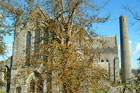 Visit Kilkenny Photo Gallery