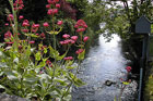 Visit Kilkenny Photo Gallery